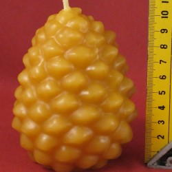 Zapfen gr. ca. 10 x 7 cm